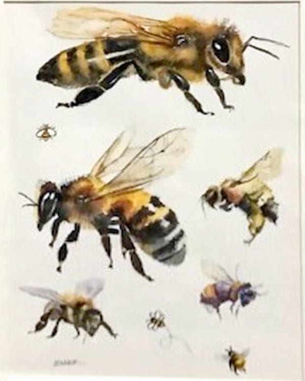 Many Bees by Joan Denner