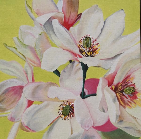 Unfolding Light by Kimberley Cardow