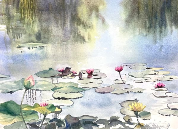 Lily and Lotus by Glynis Brown