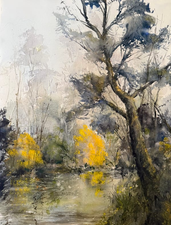 Warrandyte spring morning by Dragan Antolos