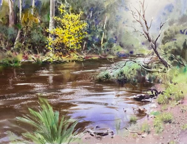 Eltham Bushland by Greg Allen