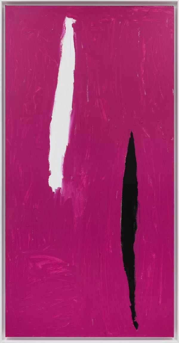 My Country, 2010 by Mirdidingkingathi Juwarnda Sally Gabori (c.1924-2015)