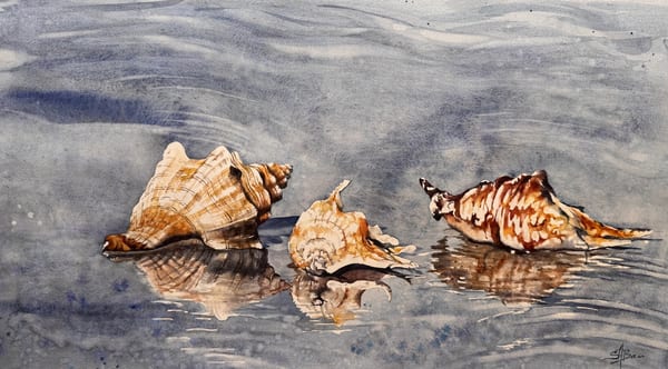 Waiting for the Wave by Sue Bass