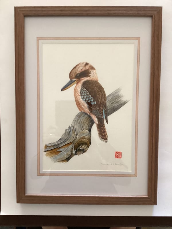 Kookaburra by Duncan Brimson