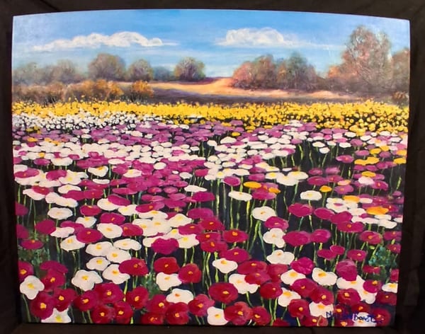 Murchison Wildflowers WA by Marilyn Boast