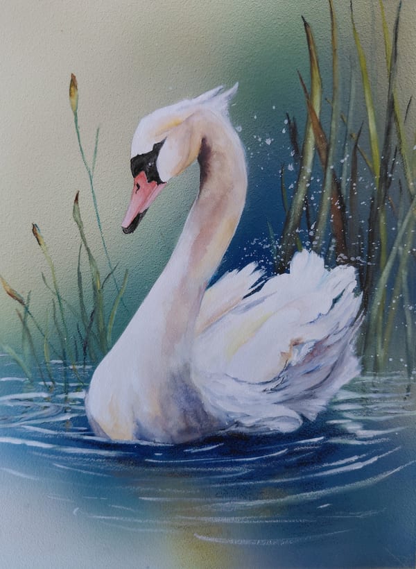 Elegance by Pamela Eddy