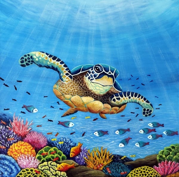 Turtle on a Coral Reef by Jenny Ellis-Newman