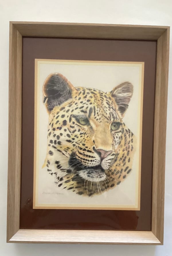 .Leopard by Duncan Brimson