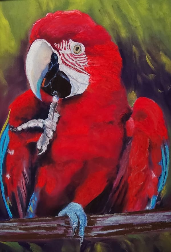 Pretty in Red by Lee Calley