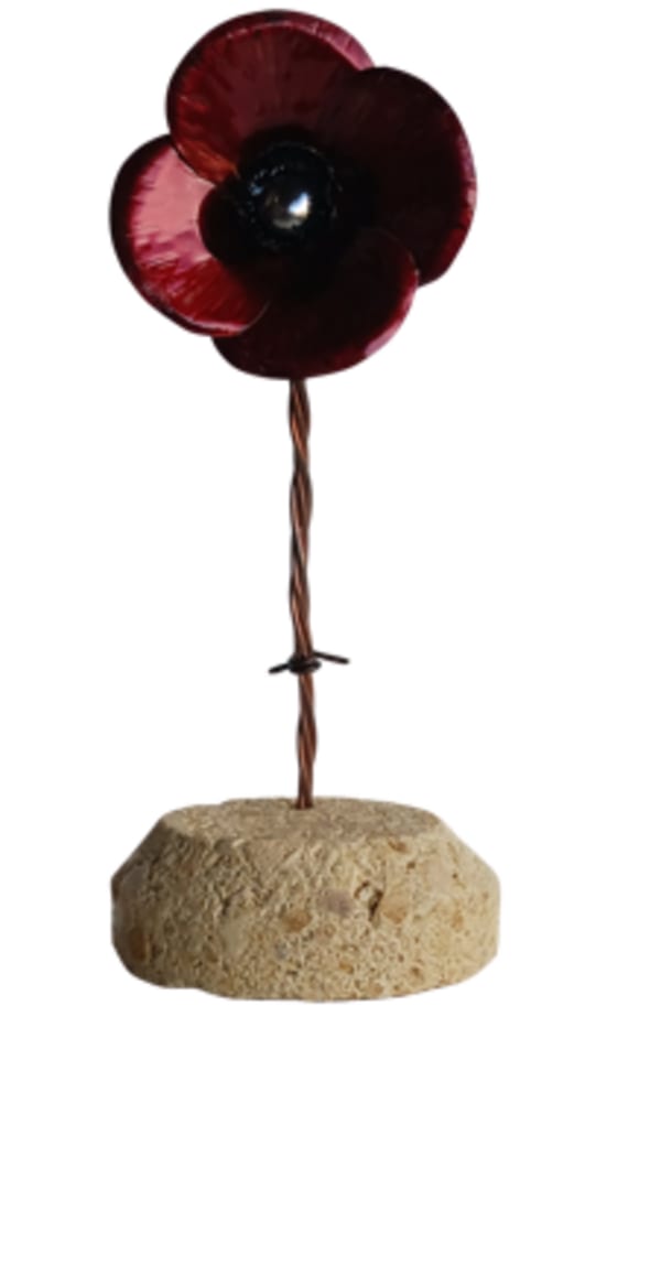 Stone Poppy No 02 by Gary Casey