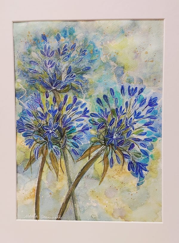 Agapanthus by Merle Cranwell