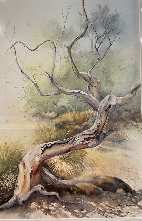 Pilbara Bonsai by Annette Wallman