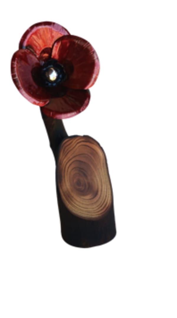 Timber Branch Poppy No 02 by Gary Casey