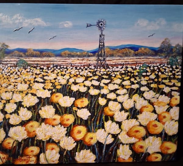 Springtime in Dalwallinu WA by Marilyn Boast
