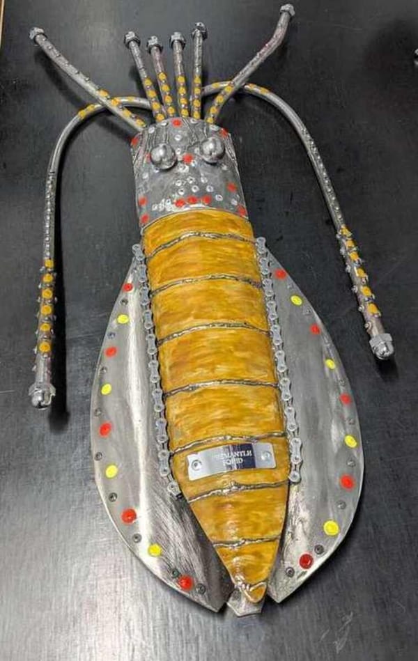 fremantle squid by Sean Dowling