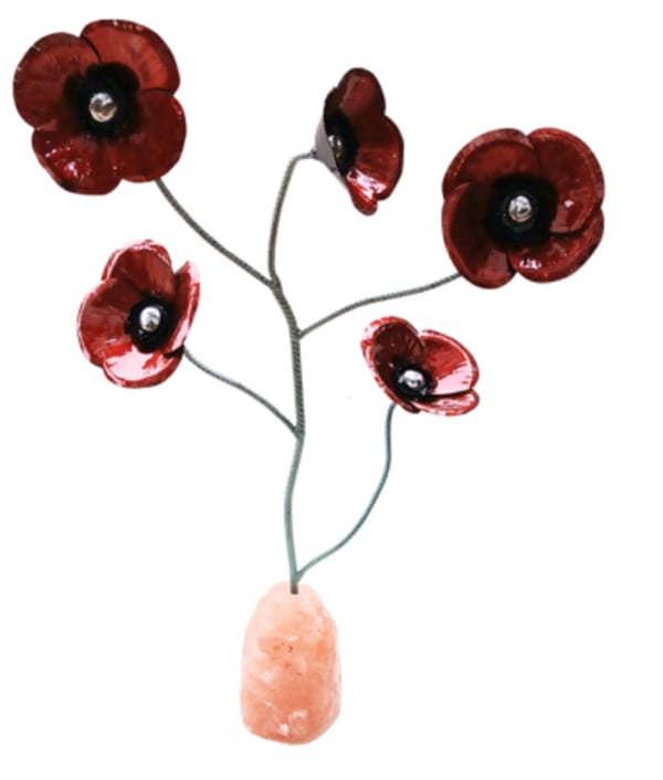 Himalayan Salt Poppy No 01 by Gary Casey