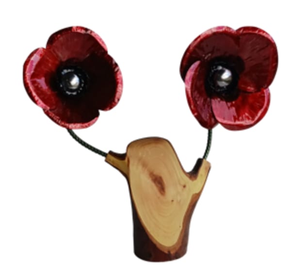 Timber Branch Poppy No 03 by Gary Casey