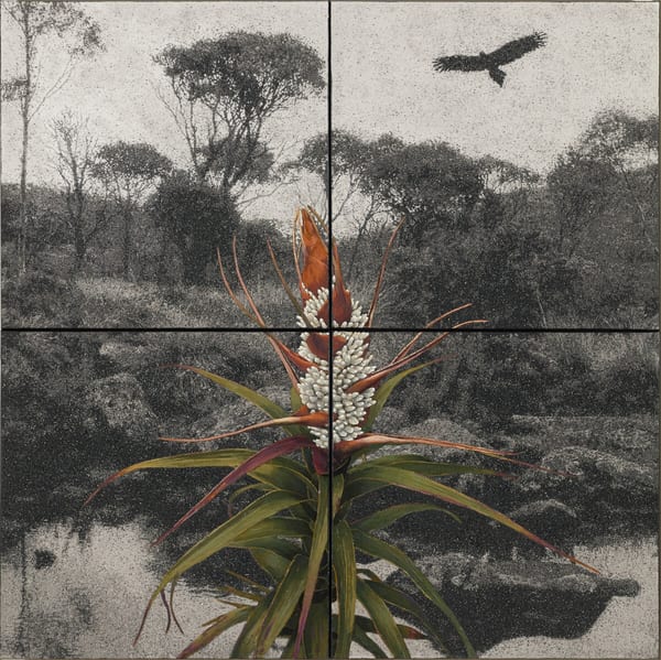 Fertile Ground VI, 2026 by Nigel Hewitt