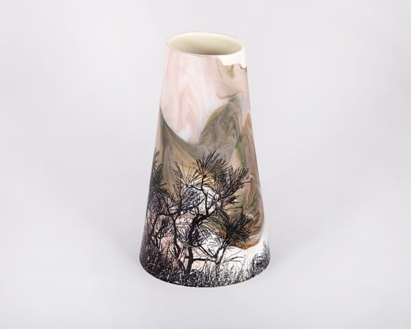 Cossack Hakea 1, 2025 by Sandra Black