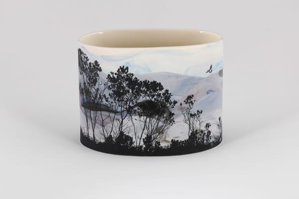 Koi Kyeunu - Ruff Stirling Ranges 1, 2026 by Sandra Black