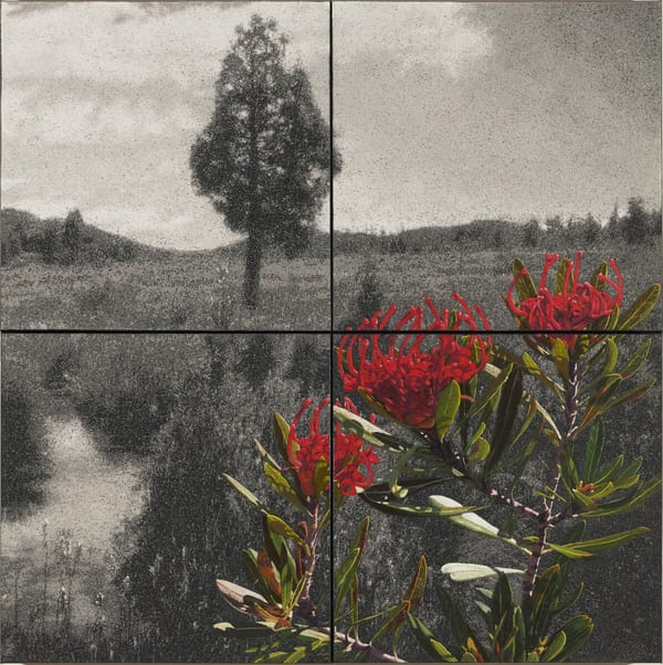 Fertile Ground IV, 2026 by Nigel Hewitt