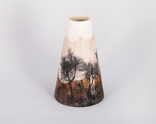 Cossack Hakea 3, 2025 by Sandra Black