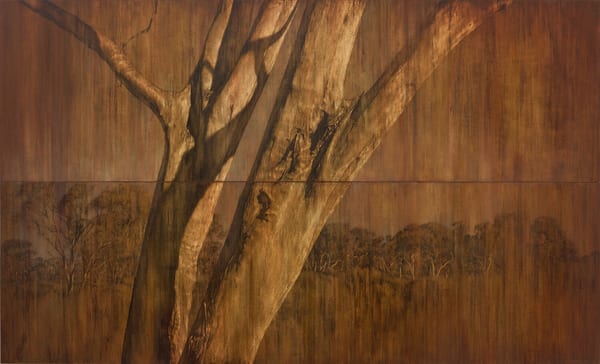 Wood Land, 2026 by Tony Windberg