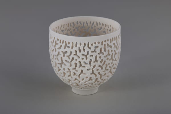 Coral Etch 10, 2026 by Sandra Black