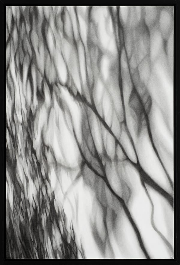 Shadows Wait, 2025 by Kim Anderson
