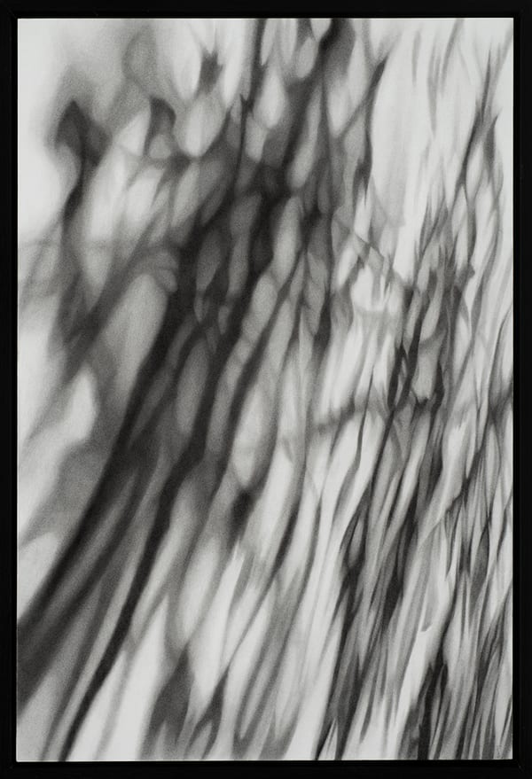 Uncertain Ground, 2025 by Kim Anderson