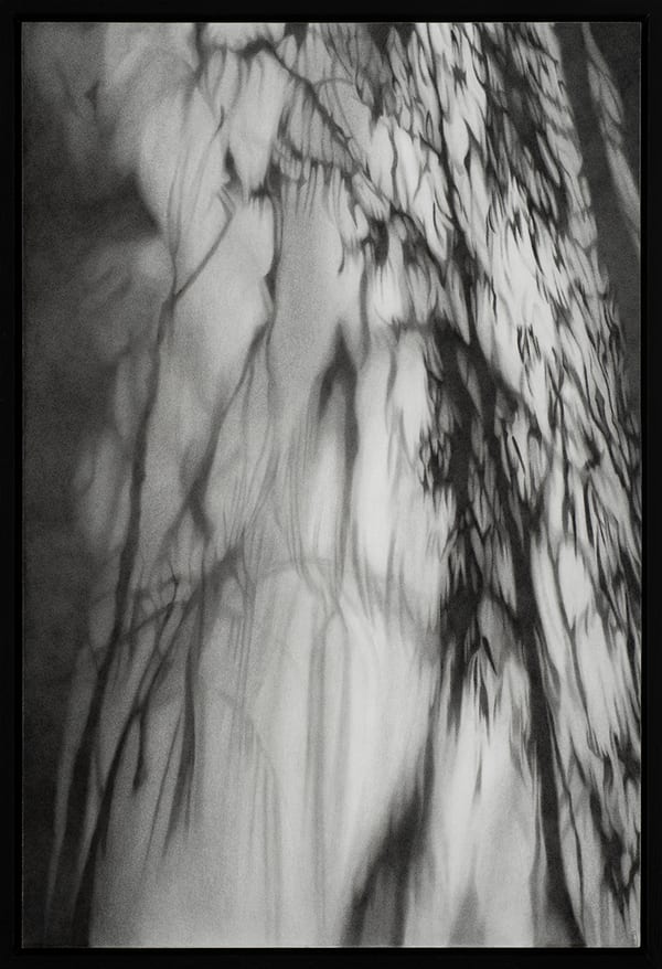 Low Light, 2025 by Kim Anderson