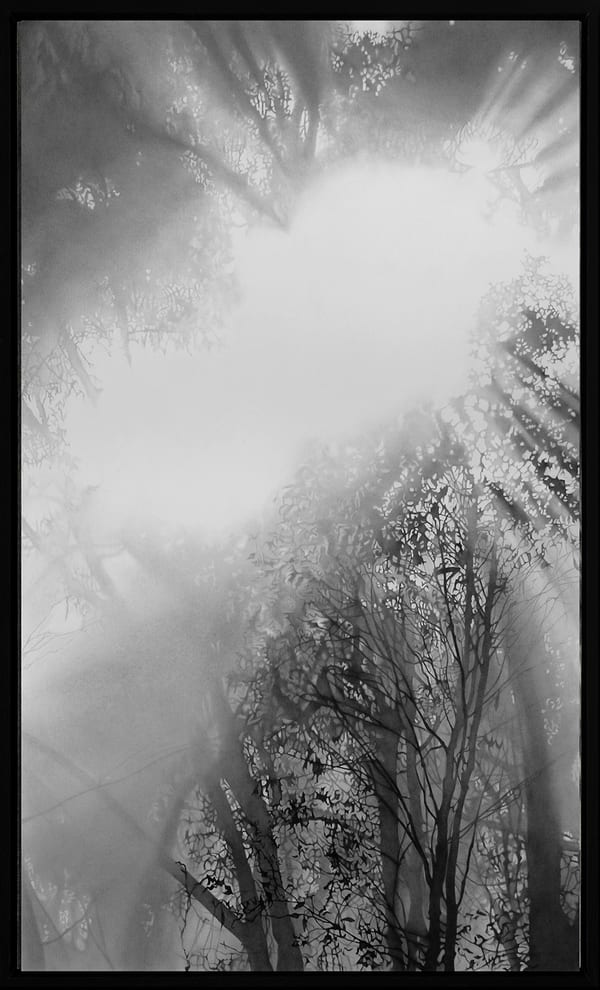 Into Thin Air, 2026 by Kim Anderson