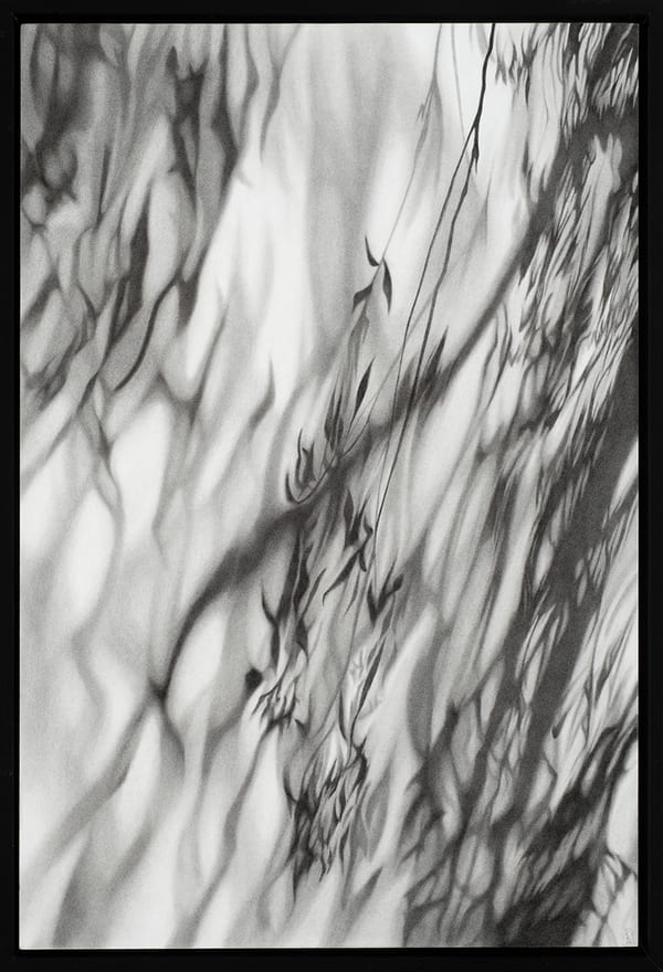 The Landscape Listens, 2025 by Kim Anderson