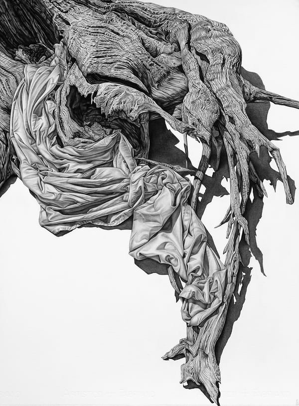 Embrace, 2023 by Kim Anderson