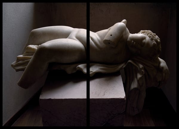 Suspended Time (Dormant Love) (diptych), 2026 by Ellen Dahl