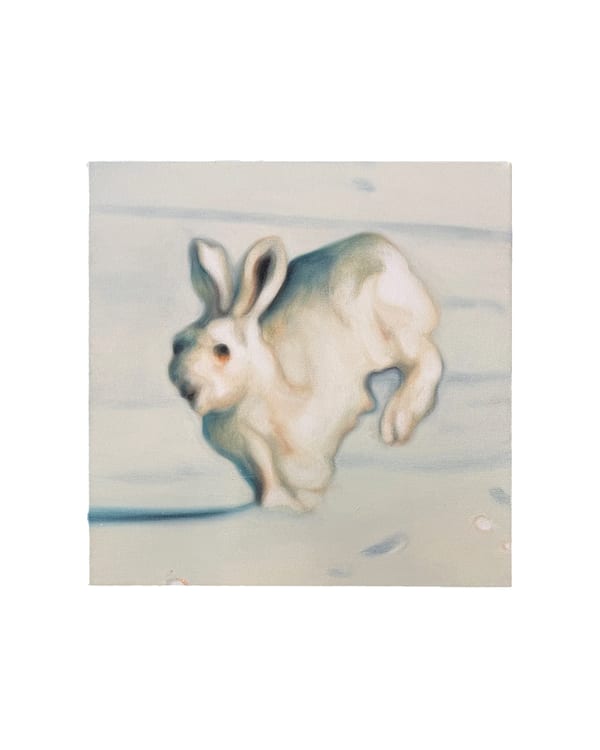 White Rabbit, 2026 by Max Berry